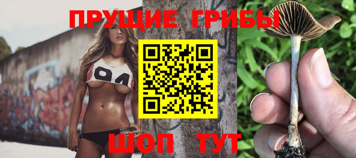 Балашиха  продажа наркотиков  Вход с VPN  Галлюциногенные грибы MAGIC MUSHROOMS 